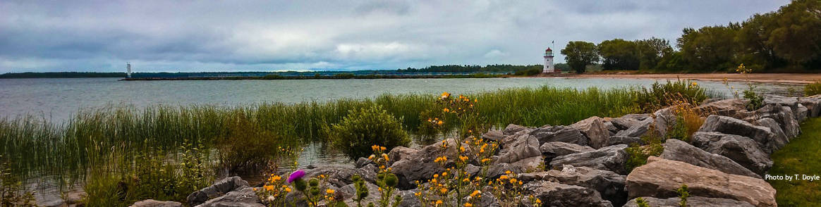 Cheboygan Crib Light overlooking Lake Huron on a cloudy day, with wildflowers and a stone breakwater in the foreground.